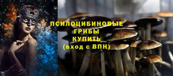 МДПВ Арсеньев